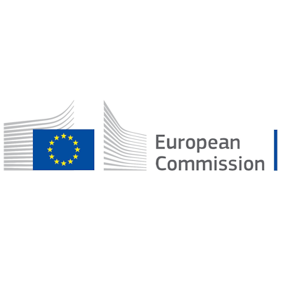 Logo of the European Union European Social Fund, an LRDP partner supporting refugee doctors in the UK.